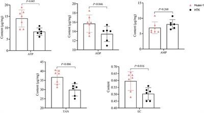 Comparison of “Huaxi-1” or “histidine-tryptophan-ketoglutarate” cardioplegia in an animal model